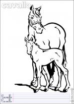 coloriage-cheval-3